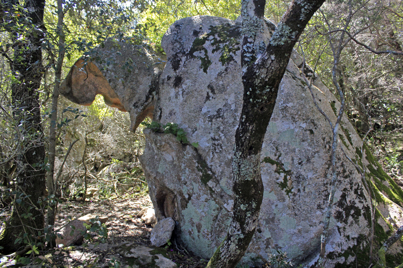 2016-05-04_115217 sardinien-2016.jpg - Wanderung zu den Trmen von San Pantaleo